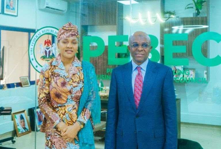 NPA, PEBEC move to enhance port efficiency, ease of doing business