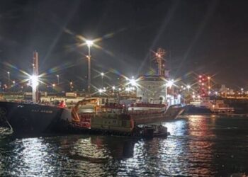 Watch officer from grounded Turkish bulker charged with negligence