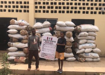 NDLEA destroys 2 cannabis farms in Edo State, arrests 39, seizes tonnes of drugs