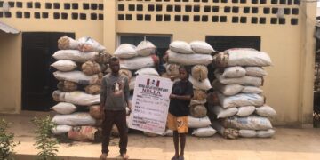 NDLEA destroys 2 cannabis farms in Edo State, arrests 39, seizes tonnes of drugs