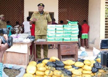NDLEA Edo State Command intercepts 53,520.80 kg of drugs