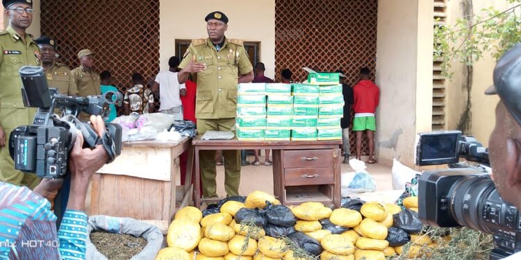 NDLEA Edo State Command intercepts 53,520.80 kg of drugs