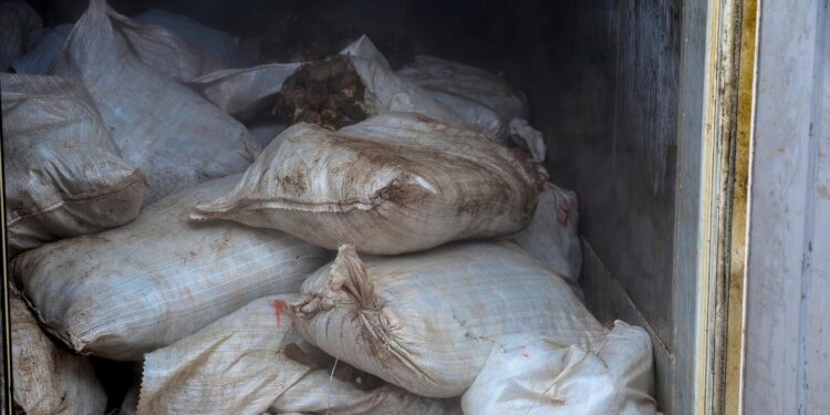 Nigeria Customs intercepts container laden with over 10,000 Donkey genitals