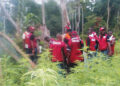 How we repelled cannabis cultivators in Edo State forests – NDLEA