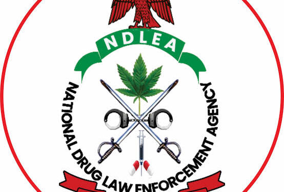 Female drug trafficker in Edo state gets 10 years imprisonment with lard labour