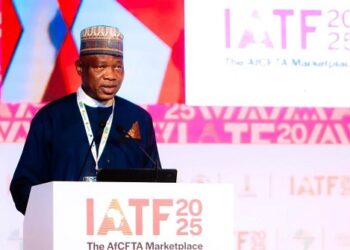 How Customs reforms can unlock Africa’s economic potentials, by Wale Adeniyi