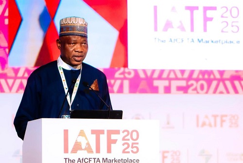 How Customs reforms can unlock Africa’s economic potentials, by Wale Adeniyi