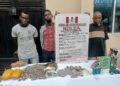 NDLEA Edo State arrests 26 with 41,410.53 kg of drugs