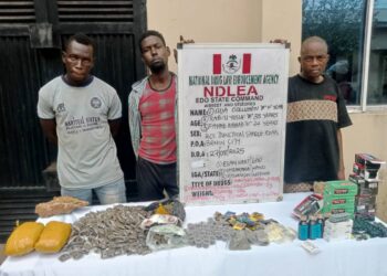 NDLEA Edo State arrests 26 with 41,410.53 kg of drugs