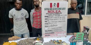 NDLEA Edo State arrests 26 with 41,410.53 kg of drugs