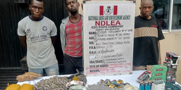 NDLEA Edo State arrests 26 with 41,410.53 kg of drugs