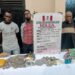 NDLEA Edo State arrests 26 with 41,410.53 kg of drugs