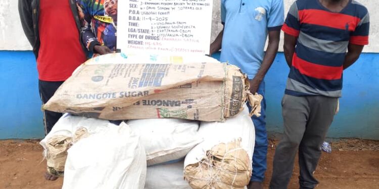 NDLEA destroys over 18,000kg of cannabis in Edo forest