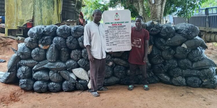 NDLEA Edo destroys 66,078.57kg of skunk cannabis, arrests 54 traffickers with 1,506.57kg of narcotics