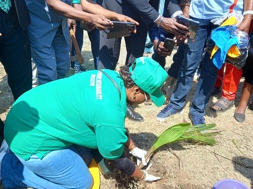 Green Border Initiative expands to Seme as COWA scales up environmental empowerment drive