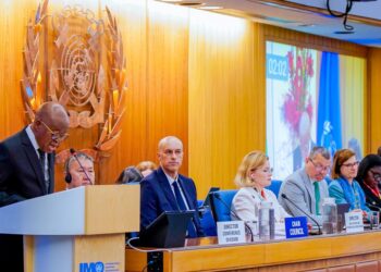 Nigeria wins IMO Category C Seat after 14 years of trying