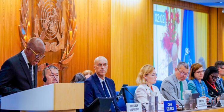 Nigeria wins IMO Category C Seat after 14 years of trying