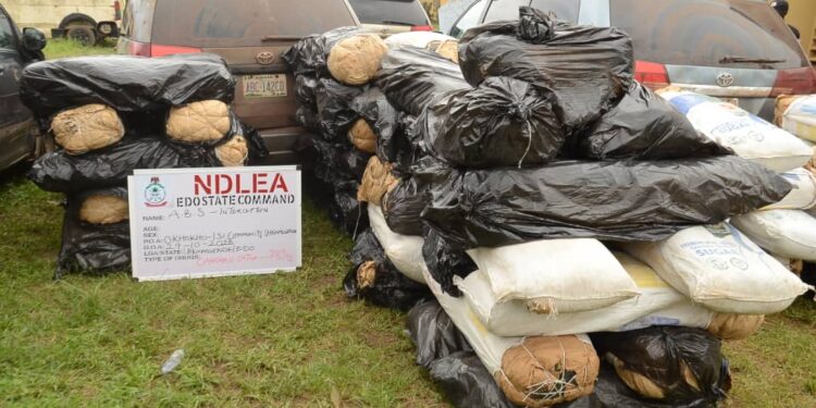 Drug barons abandon two Sienna buses with 1,455kg of Cannabis