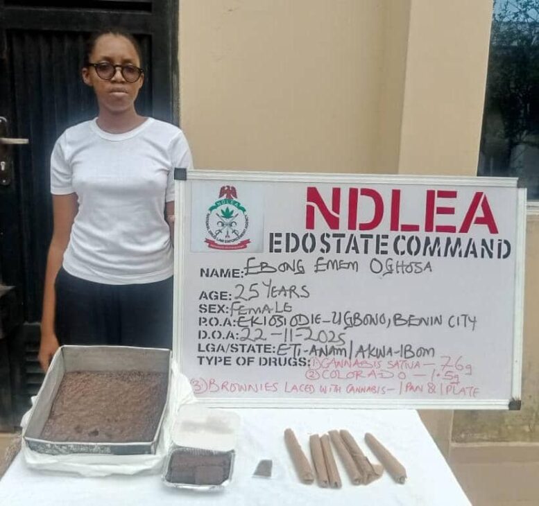 Online Drug Trafficking: NDLEA arrests social influencer, one other in Benin City… confiscates cookies laced with Cannabis