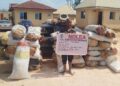 Edo NDLEA Command intercepts two vehicles with 1,046 kg cannabis sativa along Benin-Akure road, arrests two males