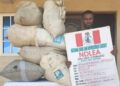 NDLEA arrests 44 drug suspects with 2,059.83kg of illicit drugs in Edo state