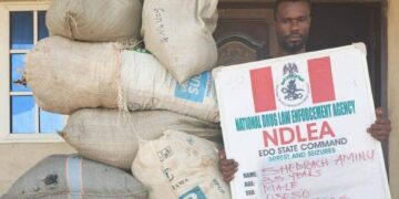 NDLEA arrests 44 drug suspects with 2,059.83kg of illicit drugs in Edo state
