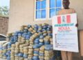 NDLEA Edo Command cracks down on drug cartels