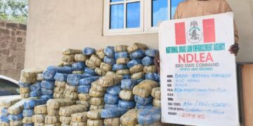 NDLEA Edo Command cracks down on drug cartels