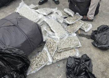 Customs, NDLEA intercept 1.1 Tonnes of Canadian Loud at Apapa Port