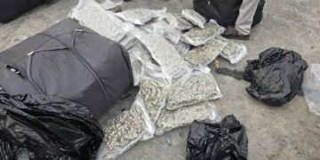 Customs, NDLEA intercept 1.1 Tonnes of Canadian Loud at Apapa Port