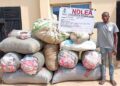NDLEA seizes 457 kg of skunk cannabis in Edo
