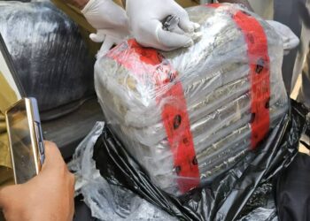 Apapa Customs, NDLEA intercept 347.5kg Canadian Loud in imported vehicle