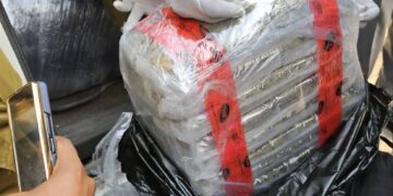 Apapa Customs, NDLEA intercept 347.5kg Canadian Loud in imported vehicle