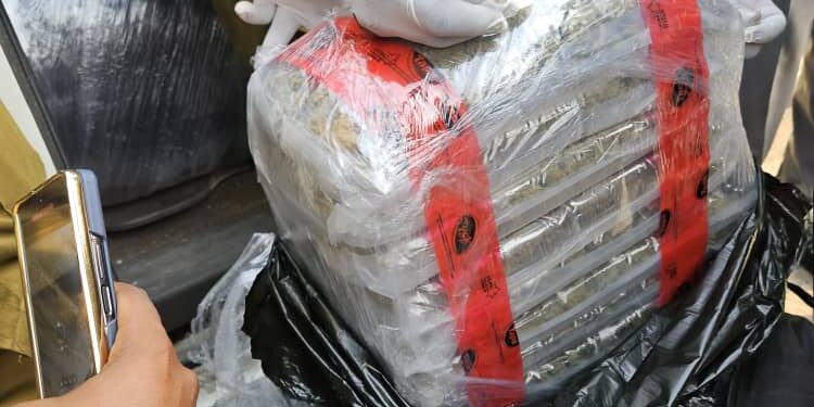 Apapa Customs, NDLEA intercept 347.5kg Canadian Loud in imported vehicle