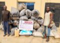 NDLEA Edo arrests 46, seizes 6,439kg narcotic drugs, convicts 7