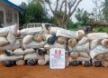 NDLEA arrests 56 in Edo with 2,167.74kg of Cannabis, destroys 3 farms, secures 14 convictions