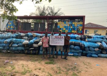 Edo NDLEA intercepts 7,245kg of Cannabis, arrests five in major highway bust