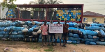 Edo NDLEA intercepts 7,245kg of Cannabis, arrests five in major highway bust