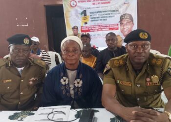 NDLEA tasks Edo patent medicine vendors against drug abuse