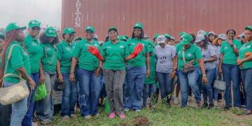 COWA drives Green Advocacy in Owerri, leads tree-planting campaign