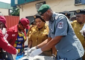 Customs, NDLEA intercept N16.6bn smuggled cannabis at Tin-Can port