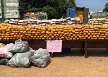 Customs FOU ‘A’ intercepts N2.35bn cocaine, 15 trailers of rice, other contraband