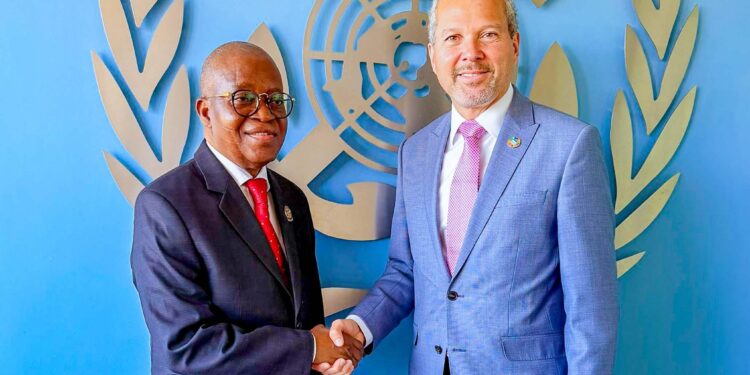 Net-Zero Shipping: Oyetola advocates fairness, equity for developing countries