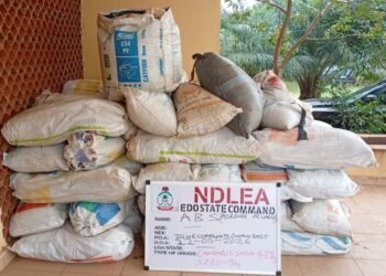 Suspected drug baron abandons 498kg cannabis in Edo shrine 