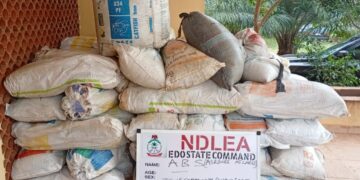 Suspected drug baron abandons 498kg cannabis in Edo shrine 