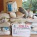 Suspected drug baron abandons 498kg cannabis in Edo shrine
