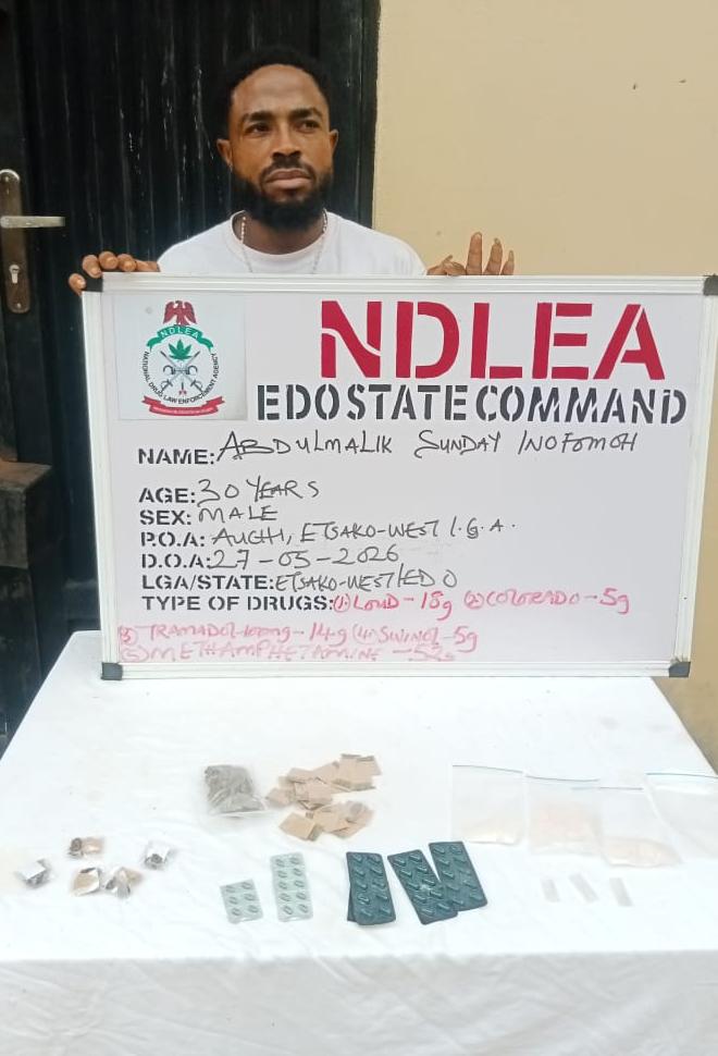 NDLEA Edo Command arrests 47 suspects with over 541kg of drugs