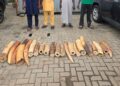 Four arrested as Customs, NESREA, WJC intercept N126.4m illegal Elephant tusks