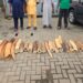 Four arrested as Customs, NESREA, WJC intercept N126.4m illegal Elephant tusks