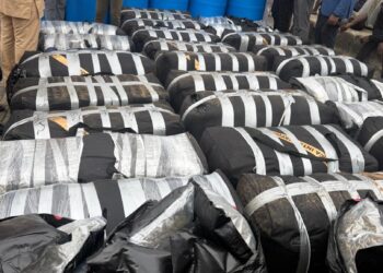 Apapa Customs seizes 1.8 tonnes of Cannabis, expired drugs worth ₦12.78bn